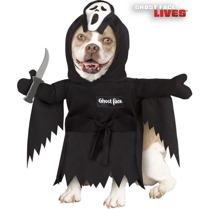 Pet Ghost Face MD