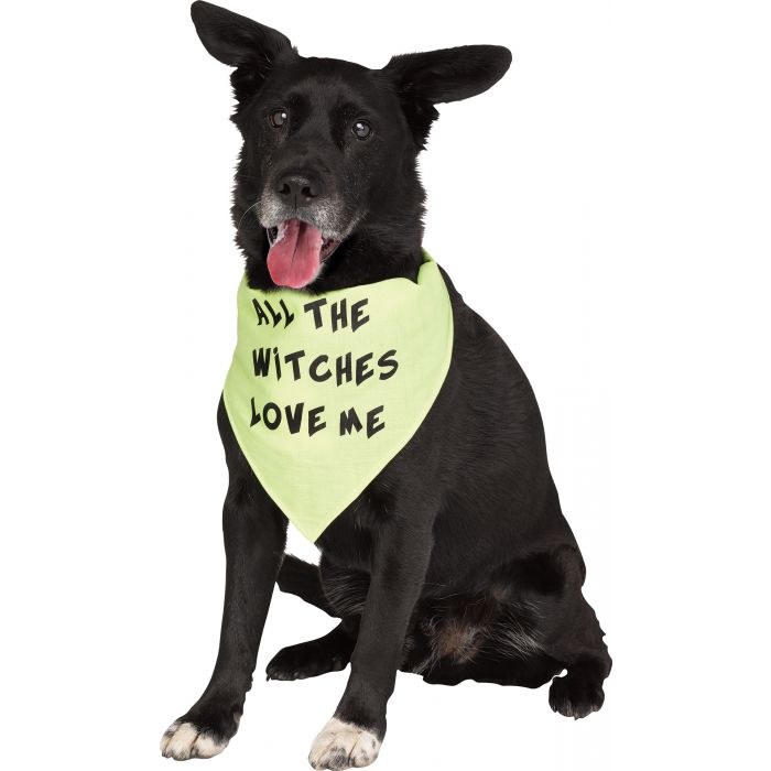 Pet Bandana Witches Love L/XL