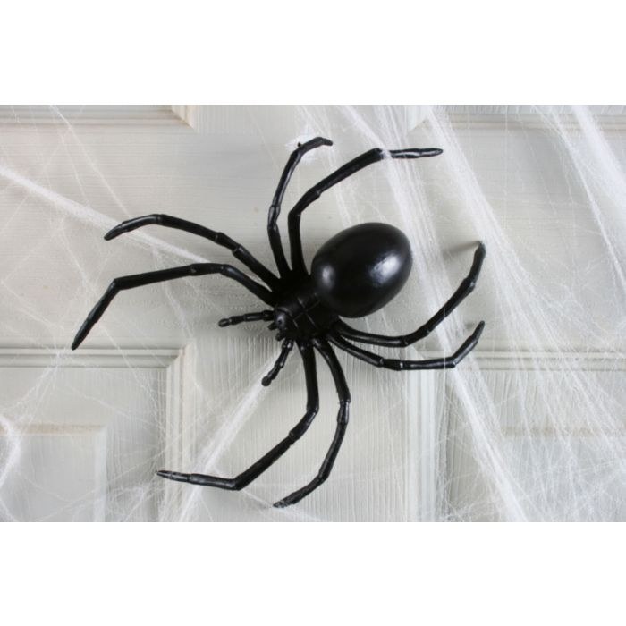 Spider Black Widow 6in