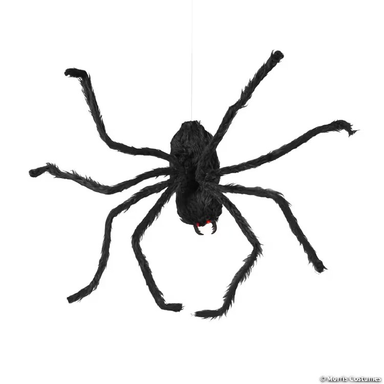 Spider Animated Hanging2ftBlk
