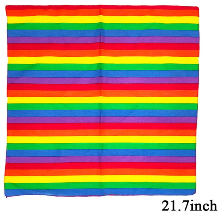 Bandana Rainbow 2