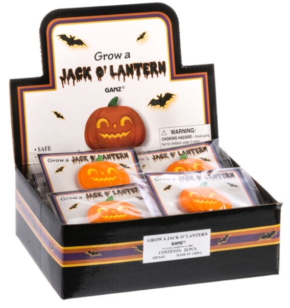 Grow a Jack o' Lantern
