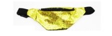 Glitter Fanny Pack • Gold