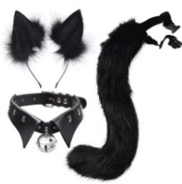 Cat Black Accessory Kit
