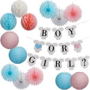 Gender Reveal Garland Kit 14pc