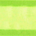 Ribbon Citrus 3/8inch x 5yd