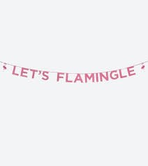 Let's Flamingle Pink Banner