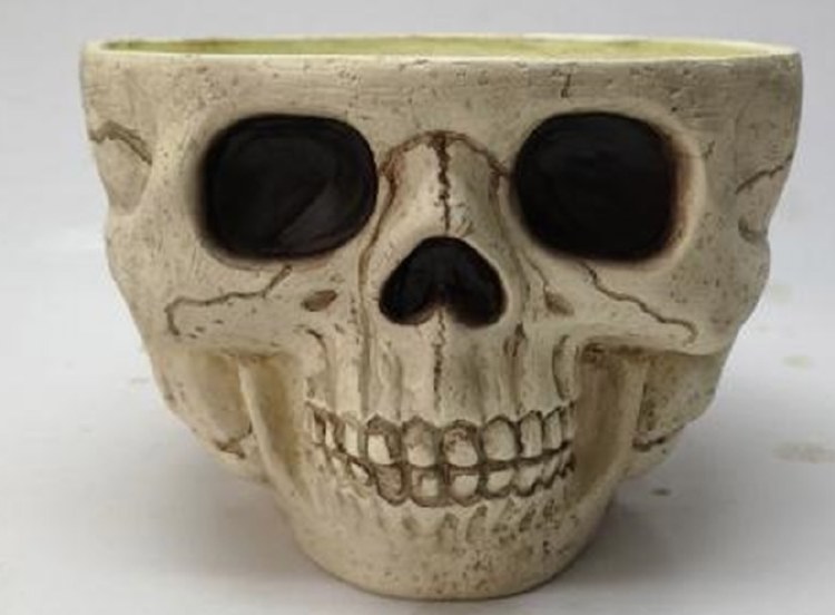 Skull Candy Bowl
