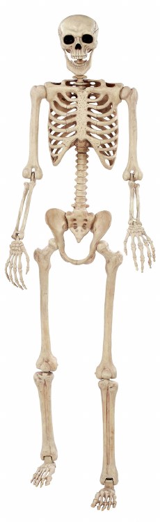 Skeleton Pose N' Stay 6'2"