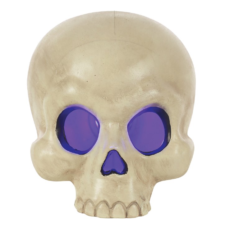 Skull Multi Color Lightup