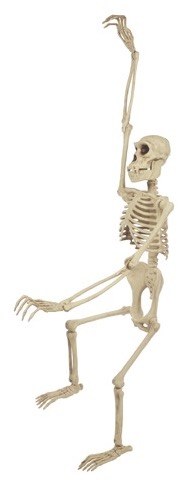 Skeleton Gorilla 50"