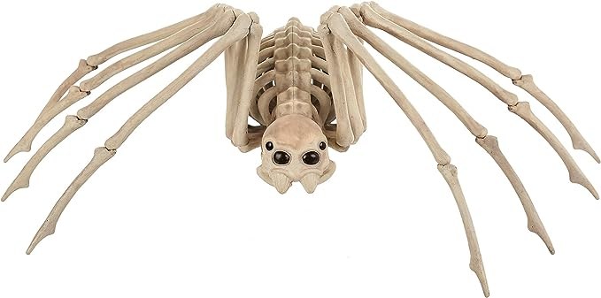 Spine Chilling Spider