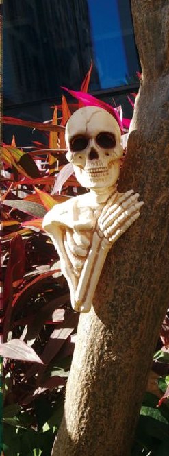 Skeleton Tree peeker