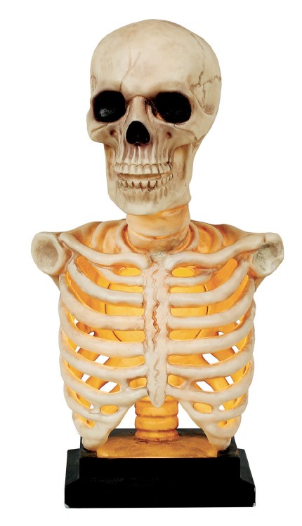 Skeleton Bust LU 16"