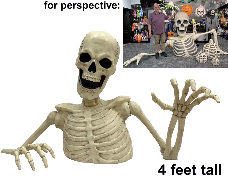 Skeleton Groundbreaker 4ft