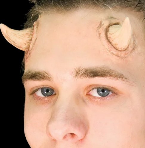 Horns Universal Small