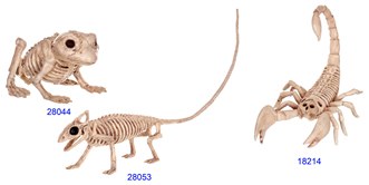 Skeleton Animal Asst. Small