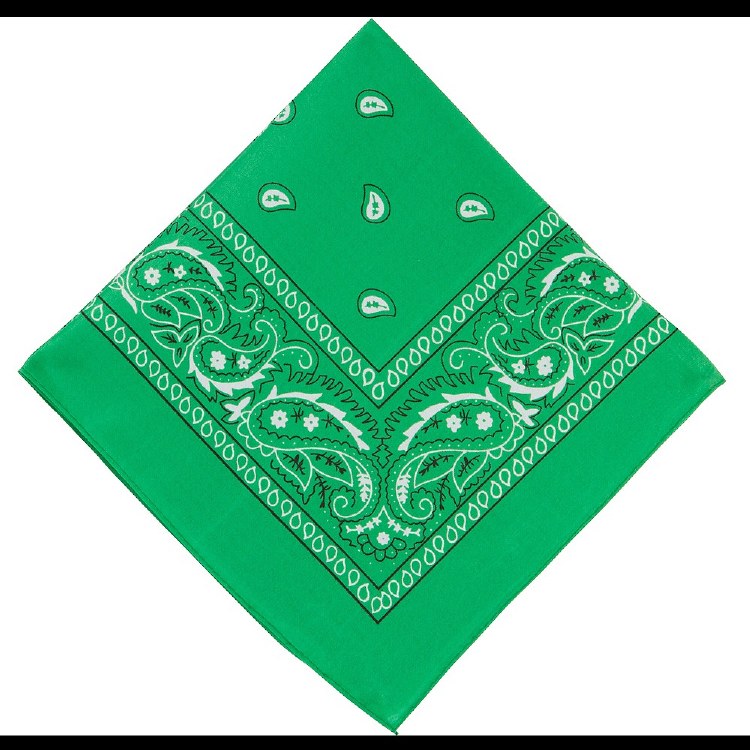 Bandana Green Paisley
