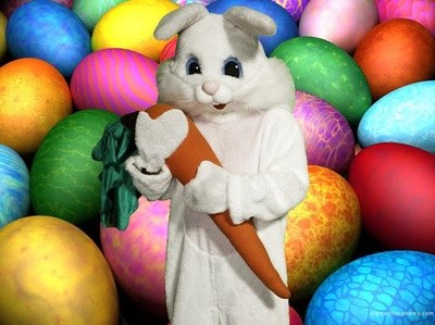 Bunny Suit Rental