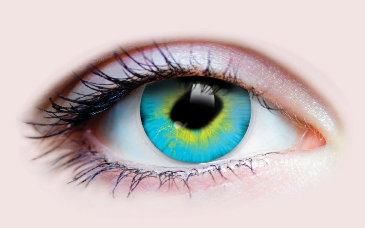 Primal Contacts Strange