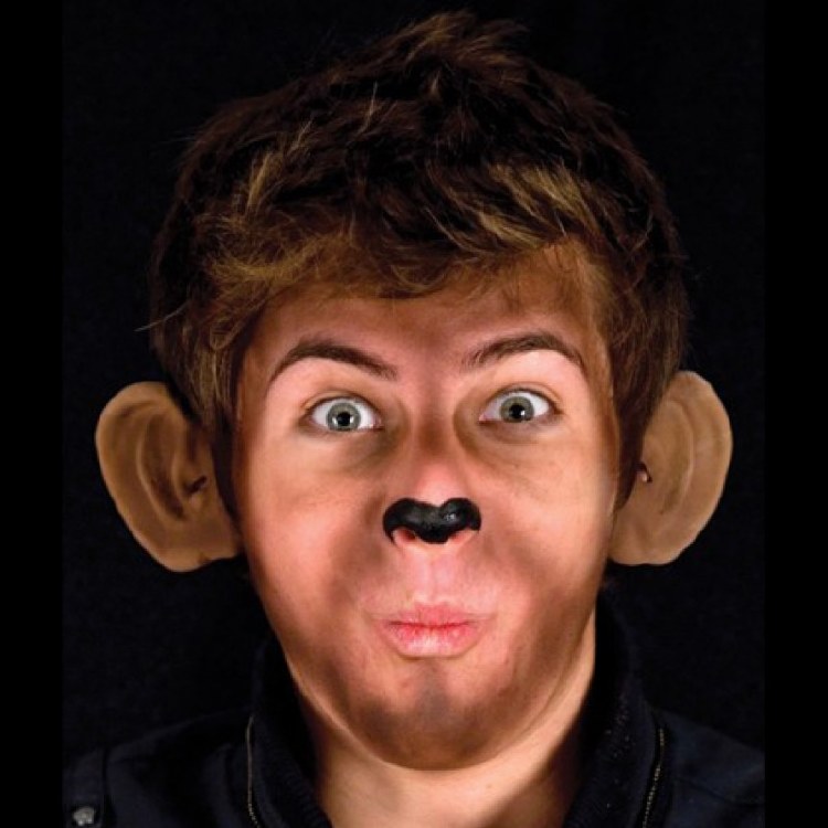 Ears Monkey