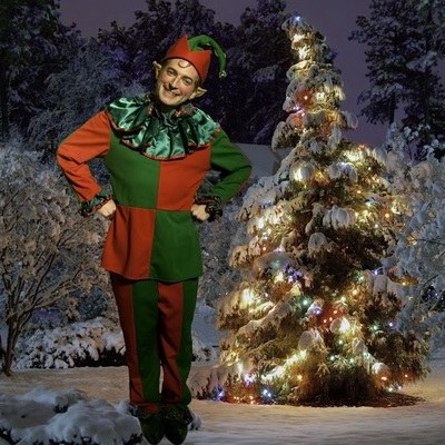 Rental Elf Costume Adult