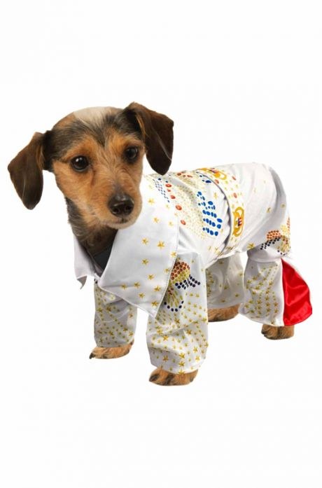 Pet Elvis Medium
