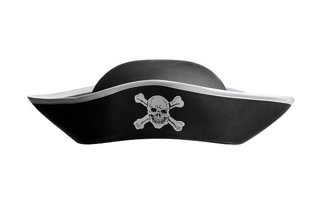 Felt Pirate Hat