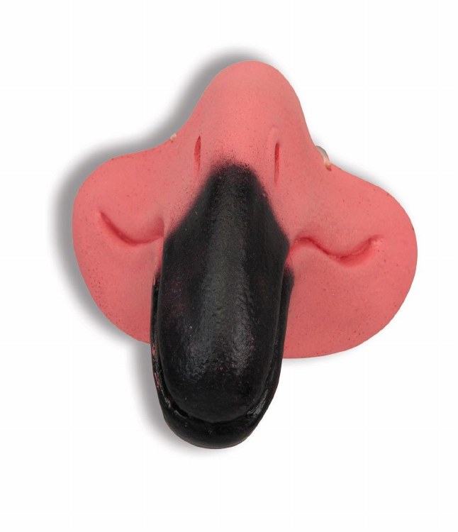 Flamingo Nose