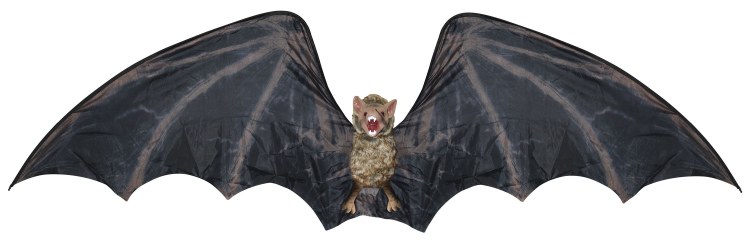 Giant Bat