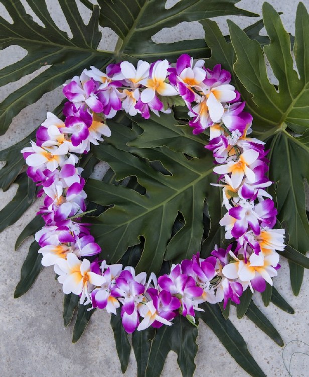 Lei Plumeria Purple