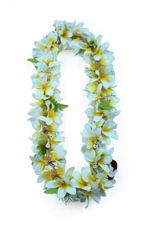 Lei Plumeria White/Orange