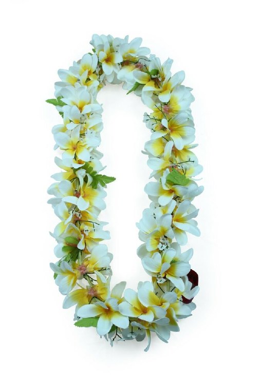 Lei Plumeria Yellow/White