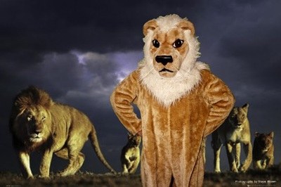 Lion Mascot