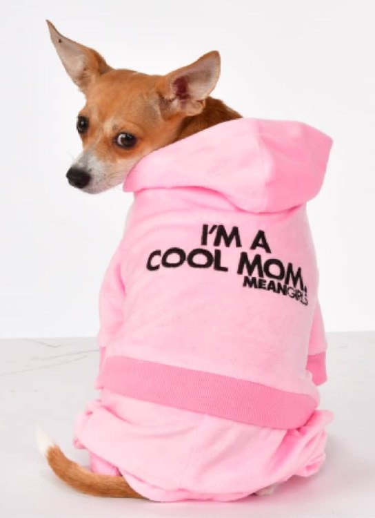 Mean Girls Pet Tracksuit XS