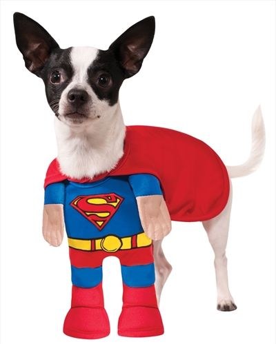 Superman Pet Costume XL