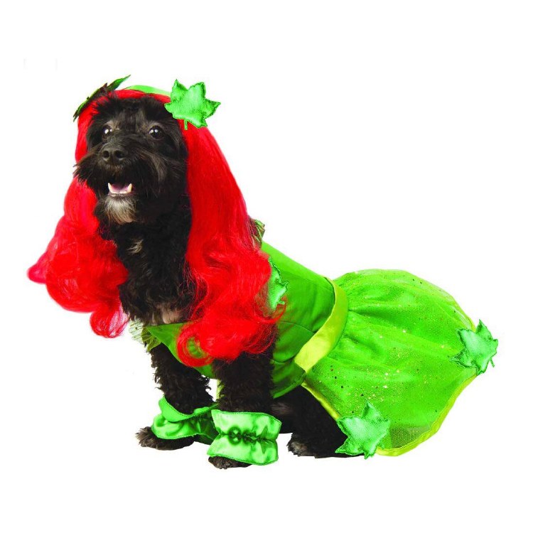 Poison Ivy Pet Costume Lg