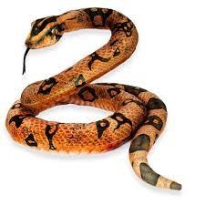 Plush Toy Python Brown 78.7in