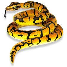 Plush Toy Python Yellow 118in