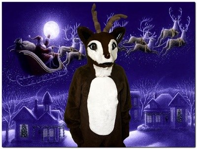 Rental Reindeer Mascot Adult 2