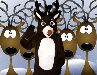 Rental Reindeer Mascot Adult