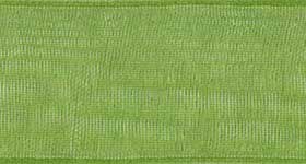 Ribbon Apple Green 5/8in x 5yd