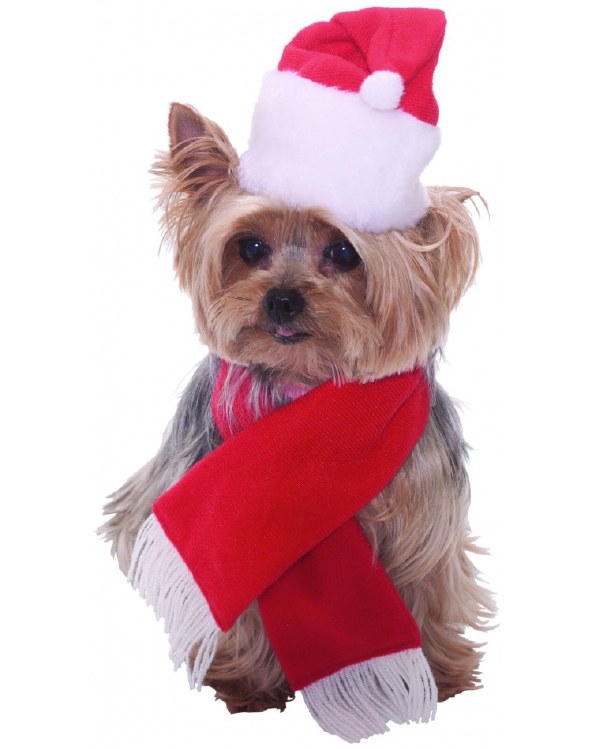 Santa Hat and Scarf Dog/Cat Costume