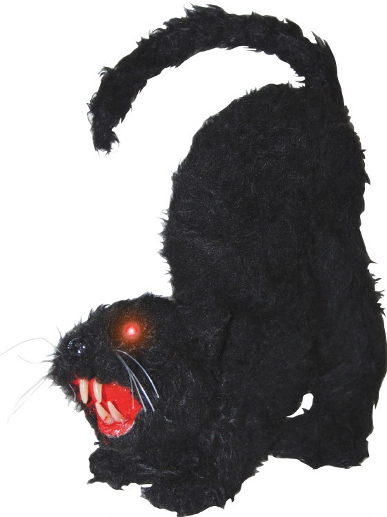 Cat w/ Light &amp; Sound