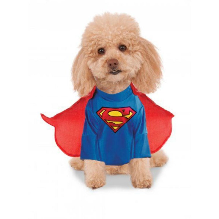 Superman Pet Med