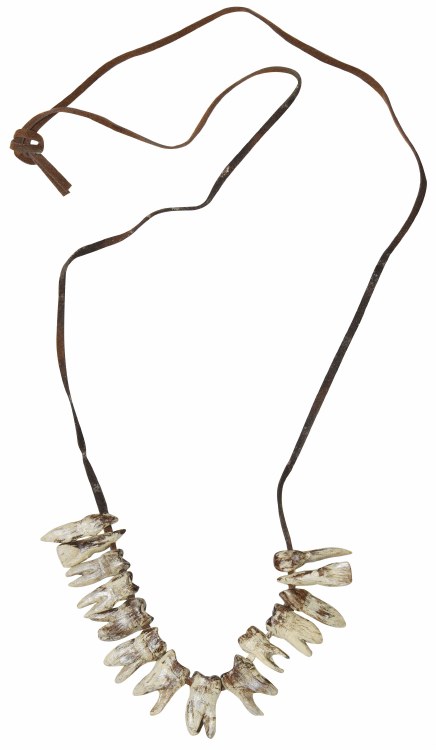 Necklace Teeth