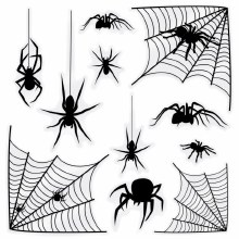 Spider & Web Silhouette Clings