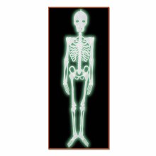 Nite-Glow Skeleton