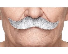 Moustache Classic Grey