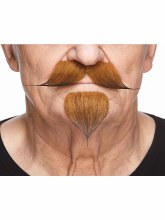 Beard/Mustache Pointed Auburn